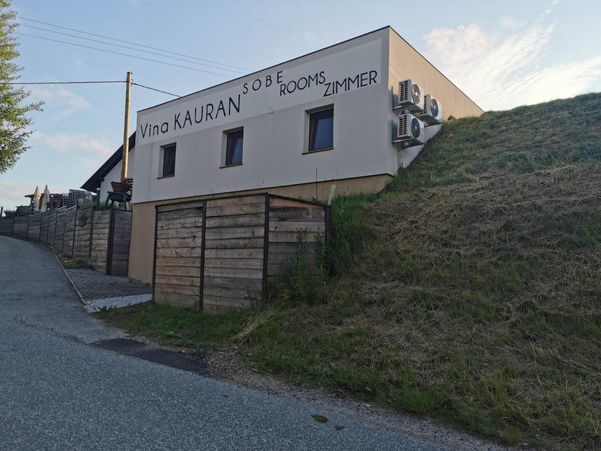 Sobe, Rooms B&B - Vina Kauran Zgornji Jakobski Dol Extérieur photo